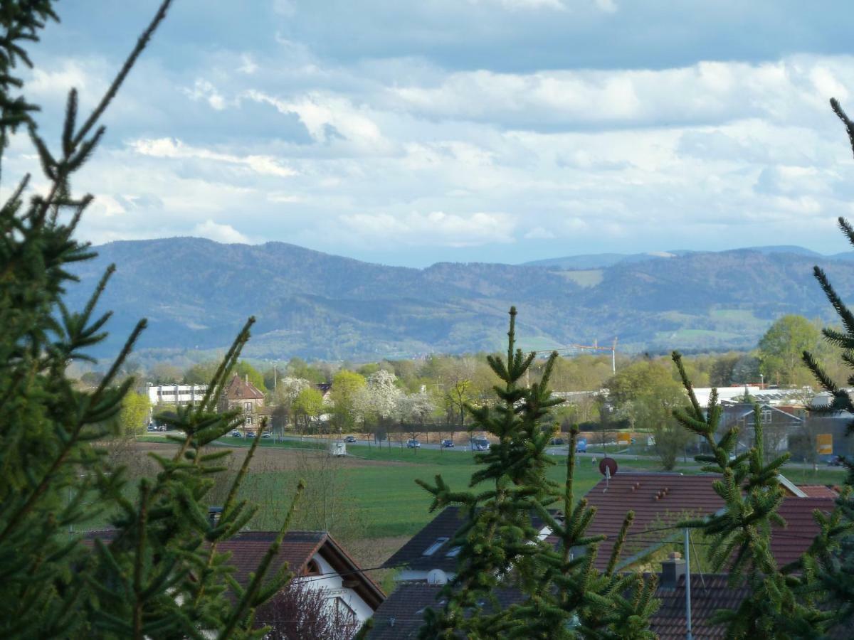 Helle 70 Qm Ferienwohnung Mit Herrlichem Blick Teningen Eksteriør bilde